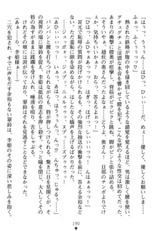 無双艶戯 堕とされし龍将姫, 日本語