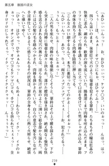 無双艶戯 堕とされし龍将姫, 日本語