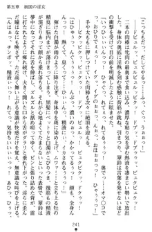 無双艶戯 堕とされし龍将姫, 日本語