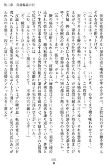 無双艶戯 堕とされし龍将姫, 日本語