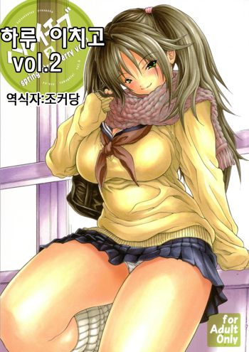 Haru Ichigo Vol. 2 - Spring Strawberry Vol. 2, 한국어