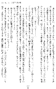 オリオンハート2 淫辱のスク水セーラー戦士, 日本語