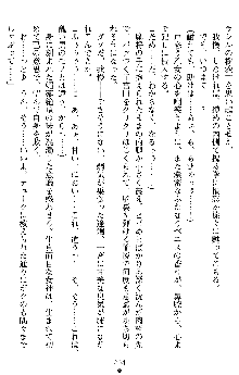 戦乙女ヴァルキリー2 アリーヤ～孕む残月～, 日本語