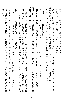 戦乙女ヴァルキリー2 アリーヤ～孕む残月～, 日本語