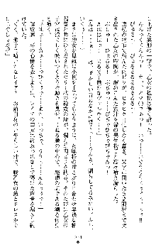 戦乙女ヴァルキリー2 アリーヤ～孕む残月～, 日本語