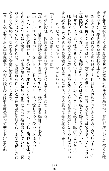 竜姫士ティアナ 魔贄に捧げられし姫君, 日本語