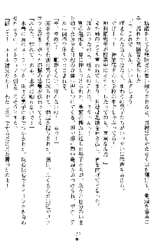 学園双剣艶舞2, 日本語