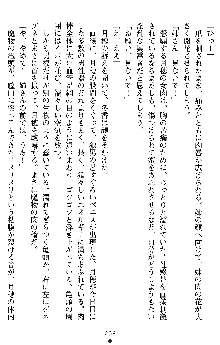 学園双剣艶舞2, 日本語