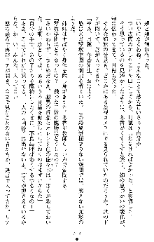 学園双剣艶舞2, 日本語