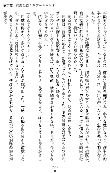 学園双剣艶舞2, 日本語