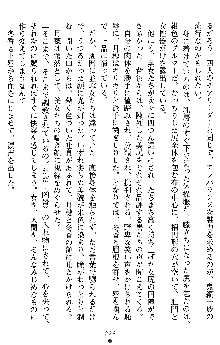 学園双剣艶舞2, 日本語