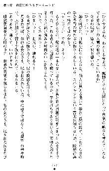 学園双剣艶舞2, 日本語