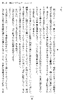 学園双剣艶舞2, 日本語