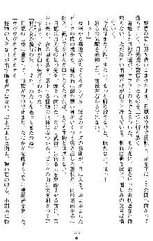 学園双剣艶舞2, 日本語