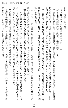 学園双剣艶舞2, 日本語