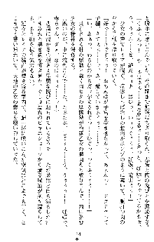 戦乙女ヴァルキリー2 ヒルデガード～堕つる大地～, 日本語