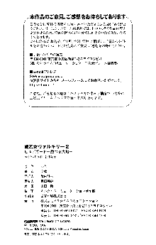 戦乙女ヴァルキリー2 ヒルデガード～堕つる大地～, 日本語