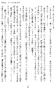 戦乙女ヴァルキリー2 ヒルデガード～堕つる大地～, 日本語