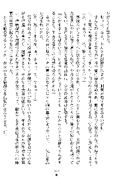 戦乙女ヴァルキリー2 ヒルデガード～堕つる大地～, 日本語