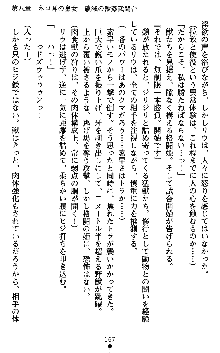 ダークエンパイア 反逆の流星たち, 日本語