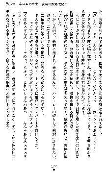 ダークエンパイア 反逆の流星たち, 日本語