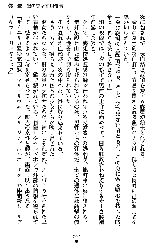 ダークエンパイア 反逆の流星たち, 日本語