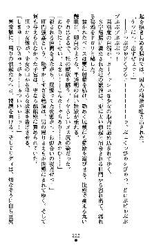 ダークエンパイア 反逆の流星たち, 日本語