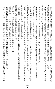 ダークエンパイア 反逆の流星たち, 日本語