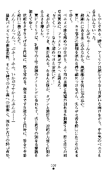 ダークエンパイア 反逆の流星たち, 日本語