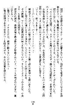 ダークエンパイア 反逆の流星たち, 日本語