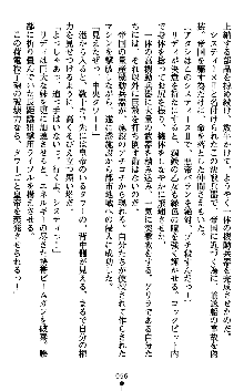 ダークエンパイア 反逆の流星たち, 日本語