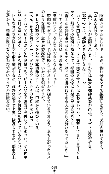 ダークエンパイア 反逆の流星たち, 日本語