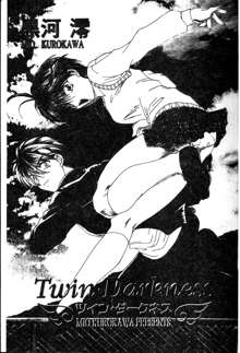 Twin Darkness, 中文