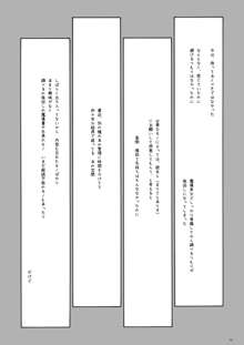 ～触手で孕ませ産卵～ ある館の一日総集編, 日本語