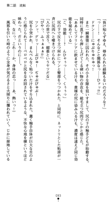 守護聖女プリズムセイバー 乙女たちの散華, 日本語