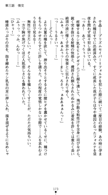 守護聖女プリズムセイバー 乙女たちの散華, 日本語