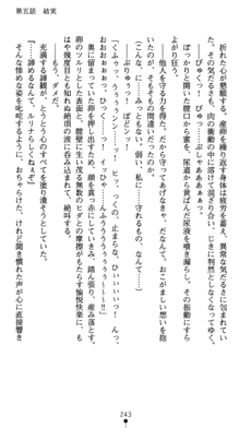 守護聖女プリズムセイバー 乙女たちの散華, 日本語