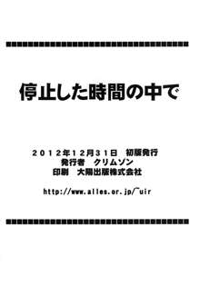 停止した時間の中で, 日本語