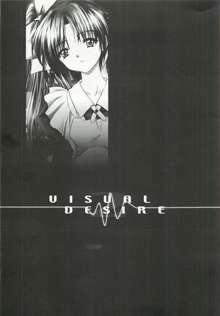 VISUAL DESIRE 2, 日本語