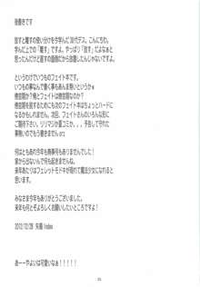 僕らはフェイトさんがチ○ポを離してくれないのに驚いた！, 日本語