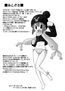 玩具姫 総集編, 日本語