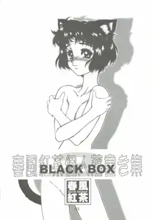 BLACK BOX 悪行三昧 弐, 日本語