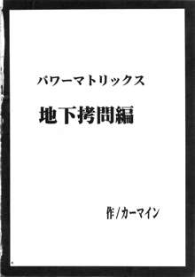 パワーマトリックス, 日本語