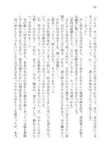 目覚めると従姉妹を護る美少女剣士になっていたⅢ, 日本語