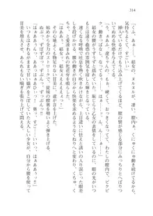 目覚めると従姉妹を護る美少女剣士になっていたⅢ, 日本語