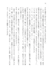 目覚めると従姉妹を護る美少女剣士になっていたⅢ, 日本語