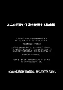 こんな可愛い子達を陵辱する総集編, 日本語