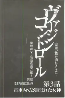 Virgin Control ~Takane no Hana o Tsumu you ni~ [Kanzenban] | Virgin Control ～將高嶺之花摘取下來了～ 【完全版】, 中文