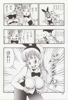 DRAGON BALL EB 1 - EPISODE OF BULMA, 日本語