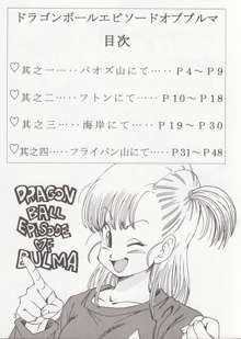 DRAGON BALL EB 1 - EPISODE OF BULMA, 日本語